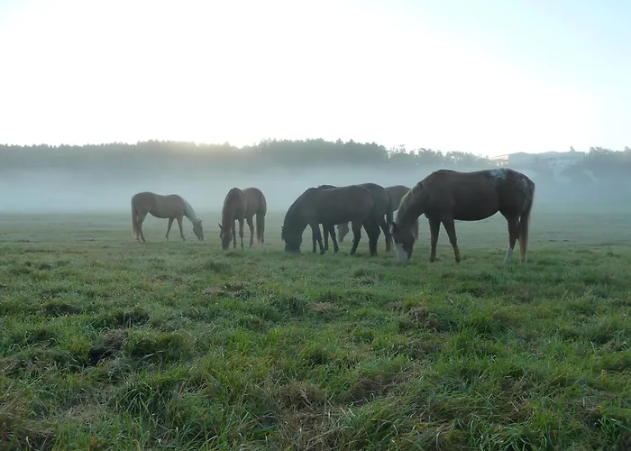 Tatil Evi Mb Ranch Plzeň